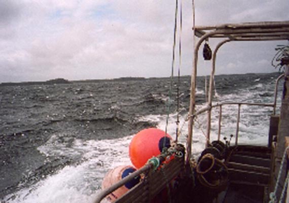 Moody Blue at sea